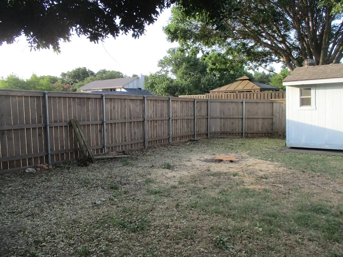 Cleared yard after professional tree removal in Rome